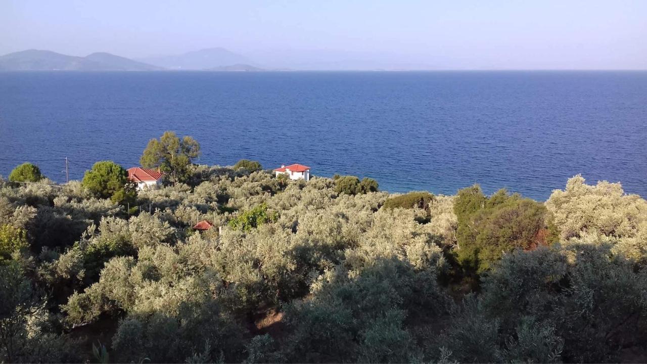 Villa Belian 1 Argalasti Buitenkant foto